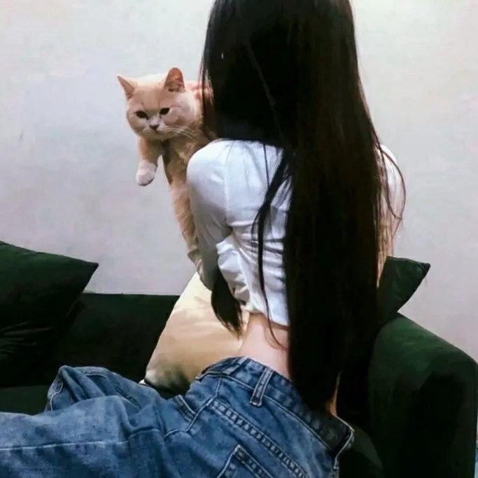 访问者