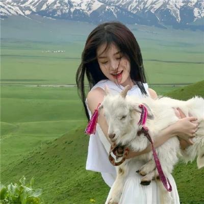 至尊警犬